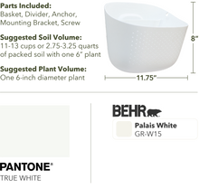 Load image into Gallery viewer, Wally Eco | White