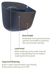 Load image into Gallery viewer, Wally Eco | Rose