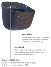 Load image into Gallery viewer, Wally Eco | Charcoal