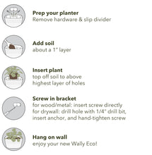 Load image into Gallery viewer, Wally Eco | Teal