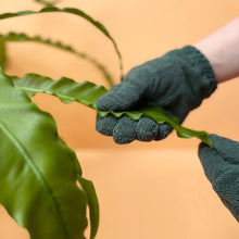 Load image into Gallery viewer, Leaf Cleaning Gloves
