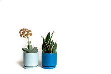 Load image into Gallery viewer, Gemstone Planter l Sea Glass