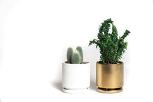Load image into Gallery viewer, Gemstone Planter | White