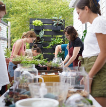 Load image into Gallery viewer, Terror-arium Workshop