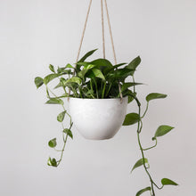 Load image into Gallery viewer, Signature Hanging Planter l Bone

