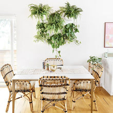 Load image into Gallery viewer, Wally Eco | White