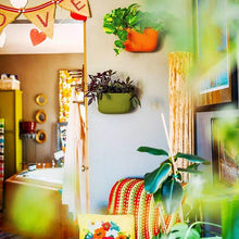 Load image into Gallery viewer, Wally Eco | Olive