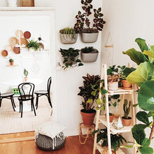 Load image into Gallery viewer, Wally Eco | Stone