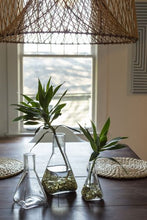 Load image into Gallery viewer, Chicory Budvase