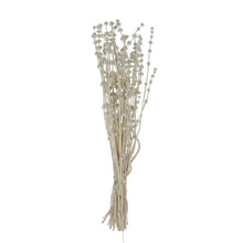Load image into Gallery viewer, Natural Lion's Tail Bunch