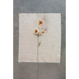 Paper Flower l Blush