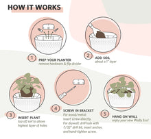 Load image into Gallery viewer, Wally Eco | Espresso