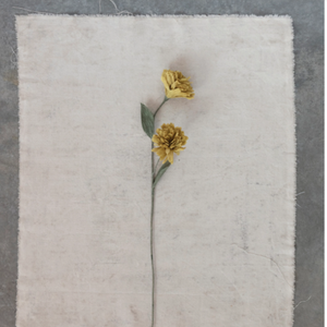 Paper Flower l Chrysanthemum