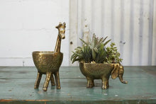 Load image into Gallery viewer, Gia Giraffe Planter
