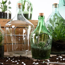 Load image into Gallery viewer, Front Open Terrarium Bottle