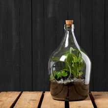 Load image into Gallery viewer, Front Open Terrarium Bottle