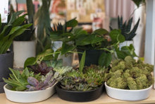 Load image into Gallery viewer, Oakley Saucer l Black