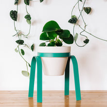 Load image into Gallery viewer, The Perch Planter
