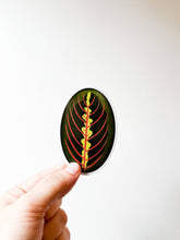 Load image into Gallery viewer, Red Prayer Plant Leaf Sticker
