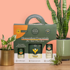 Houseplant Care Taster Kit