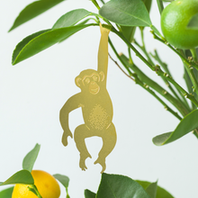 Load image into Gallery viewer, Plant Accent | Chimpanzee
