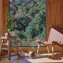 Load image into Gallery viewer, The Rancho Planter | Terra
