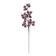 Load image into Gallery viewer, Icy Pod Branch
