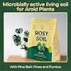 Organic Aroid Mix