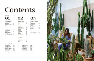 Cacti Succulents