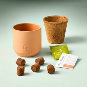 Terracotta Garden Kit