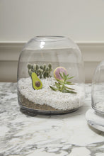 Load image into Gallery viewer, Oliver Terrarium
