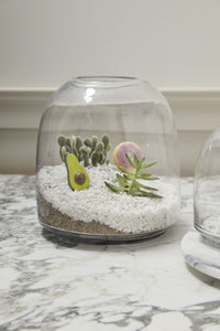Oliver Terrarium