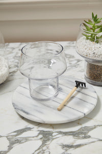 Fiction Terrarium