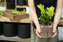 Load image into Gallery viewer, Chunky Houseplant Mix
