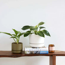 Load image into Gallery viewer, Round Two Planter | Olive
