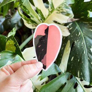 Pink Princess Philodendron Leaf Sticker