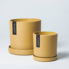 Load image into Gallery viewer, Dusted Planter | Mustard Seed
