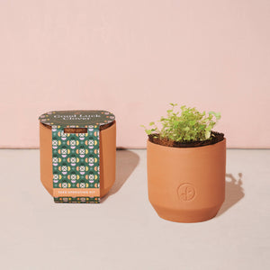 Terracotta Grow Kits