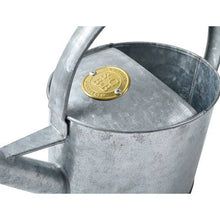 Load image into Gallery viewer, Quinn Watering Can | Galvanized
