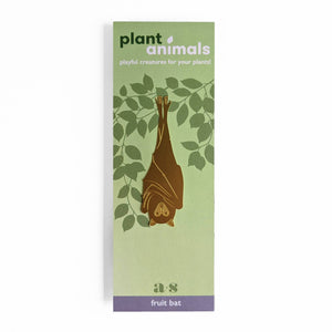 Plant Accent | Fruit Bat