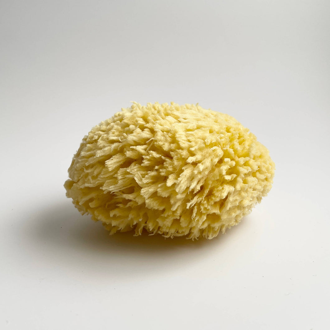 Large Natural Bath Sea Sponge