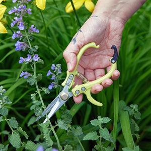 Pruning Shears