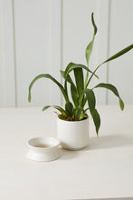 Load image into Gallery viewer, Madison Pot | White
