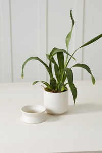 Madison Pot | White