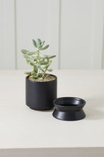 Load image into Gallery viewer, Madison Pot | Black
