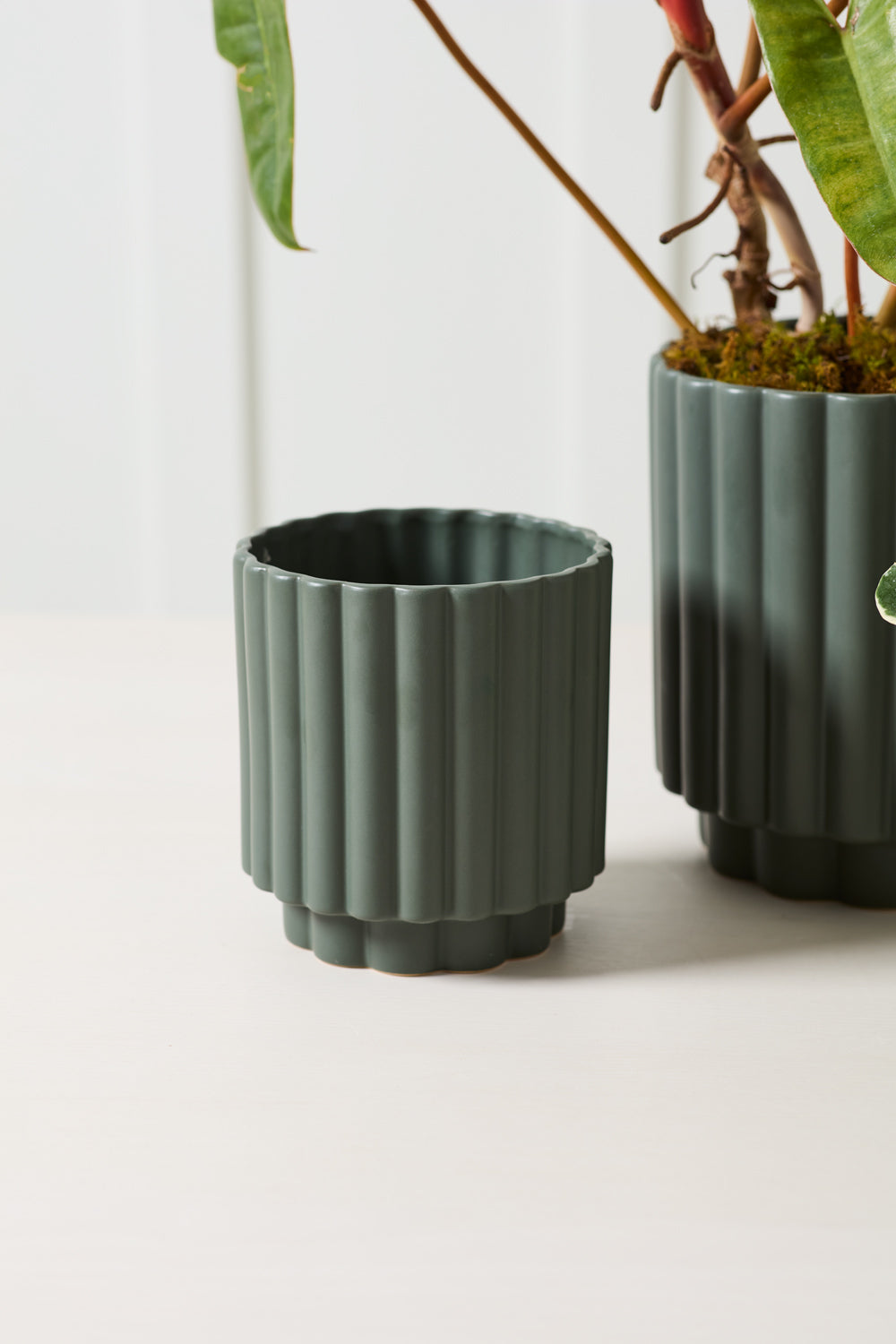 Carmen Pot | Dark Green