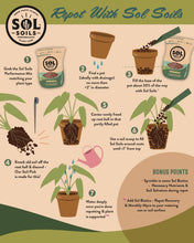Load image into Gallery viewer, Chunky Houseplant Mix
