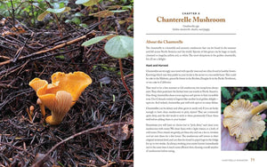 Wild Mushrooms