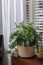 Load image into Gallery viewer, Maple Basket
