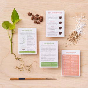 Houseplant Care Cards | 2nd Edition